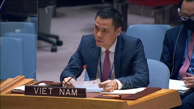 Vietnam always supports UN’s humanitarian efforts: Ambassador hinh anh 1