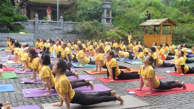 Lao Cai hosts 8th international yoga day hinh anh 1