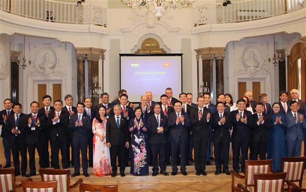 Educational cooperation between Vietnam and Hungary should be promoted: Deputy PM hinh anh 2