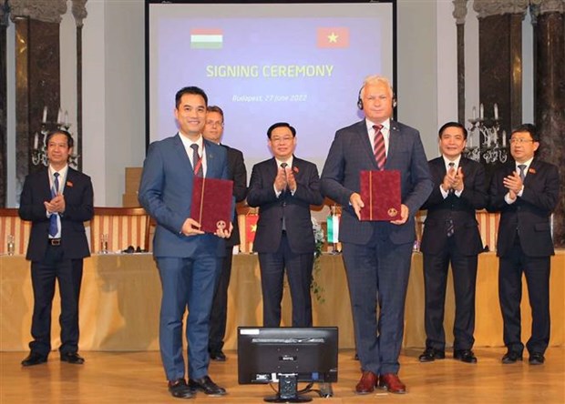 Educational cooperation between Vietnam and Hungary should be promoted: Deputy PM hinh anh 1