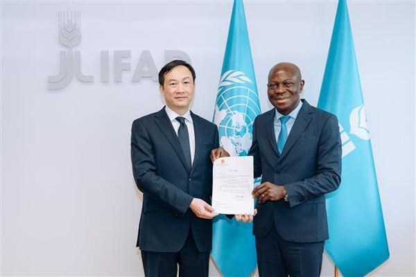 IFAD hails Vietnam’s effective cooperation hinh anh 1
