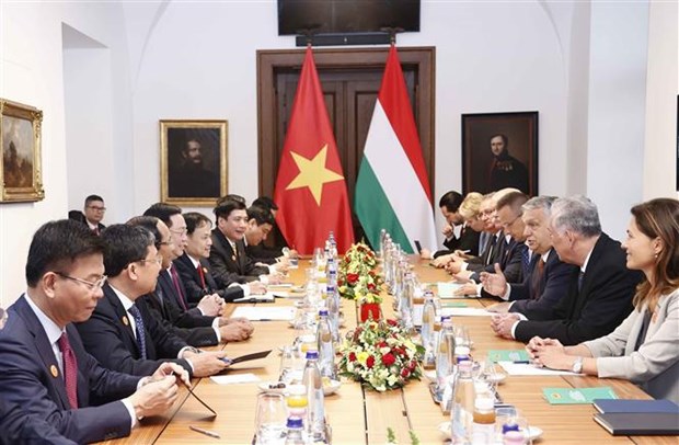 Vietnam, Hungary to further promote trade, politics, people-to-people exchanges: Leaders hinh anh 2