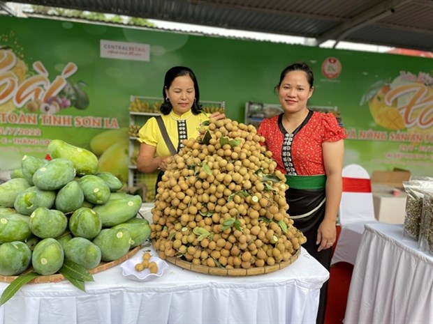 Son La mango and safe farm produce week launched in Hanoi hinh anh 1