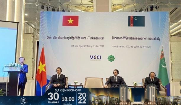 Vietnamese, Turkmenistan firms enhance business cooperation hinh anh 1