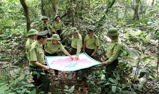 US supports law enforcement training for Vietnamese forest rangers hinh anh 1