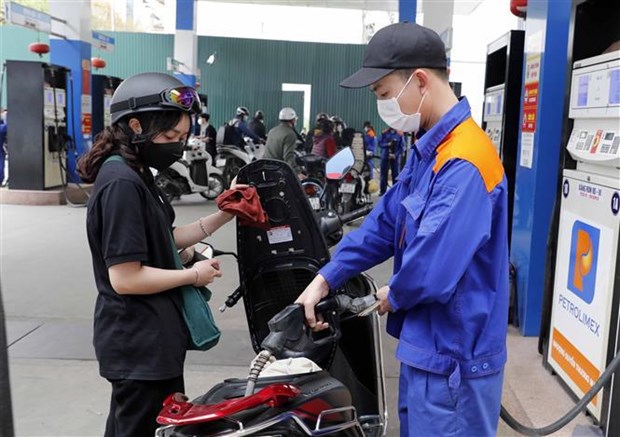 Petrol prices down after seven consecutive increases hinh anh 1