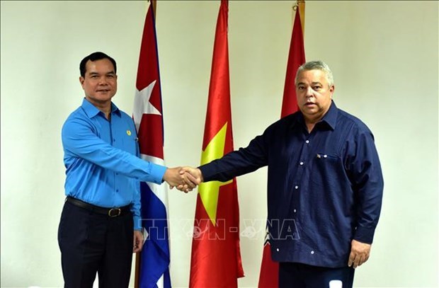 Vietnamese, Cuban trade unions promote traditional relations hinh anh 1