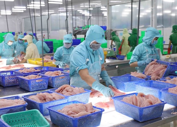 Tra fish exports to UK soar six-fold hinh anh 1