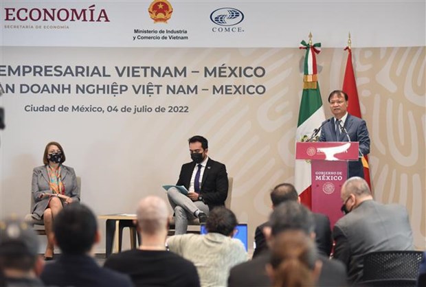 Vietnam, Mexico promote economic, trade, investment cooperation hinh anh 1