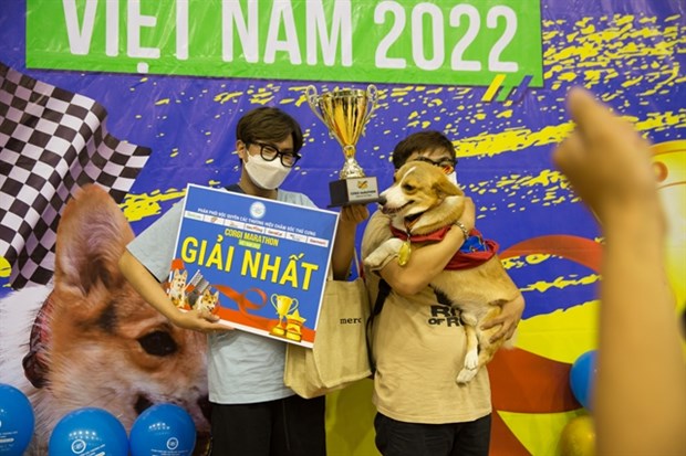 HCM City hosts first Corgi dog race hinh anh 1
