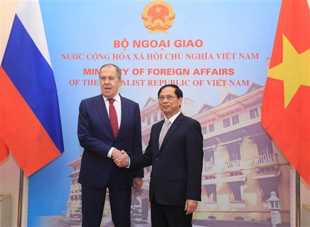 Russia always one of leading important partners of Vietnam: FM hinh anh 1