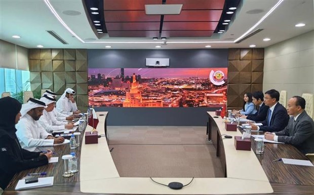 Vietnam, Qatar hold second deputy foreign ministerial political consultation hinh anh 1