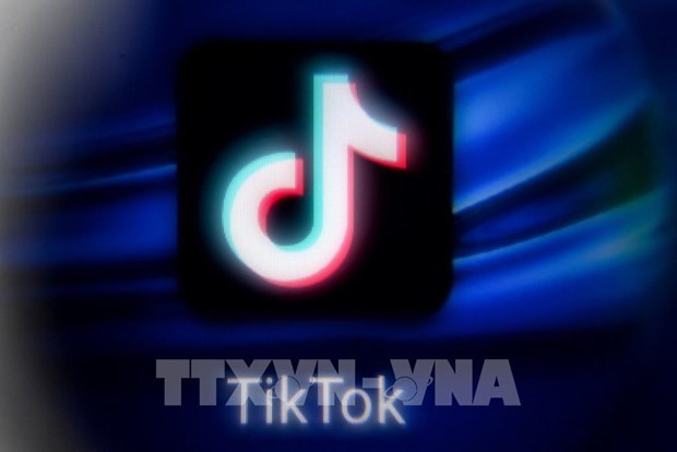 TikTok removes over 2.4 million videos posted by Vietnamese users hinh anh 1