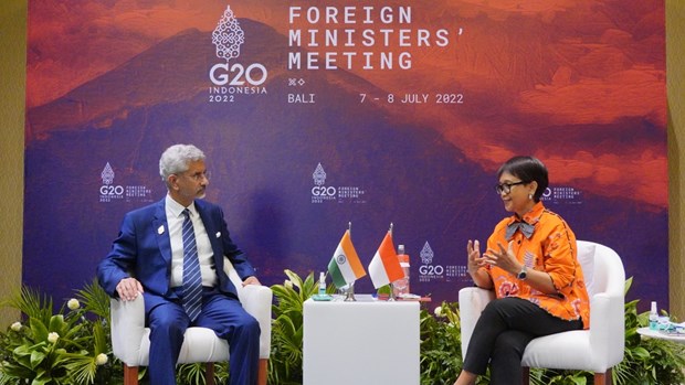 Indonesia, India support strengthening status of developing countries hinh anh 1