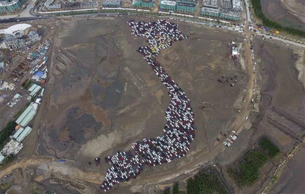 Car mosaic in Hai Phong breaks world record hinh anh 1