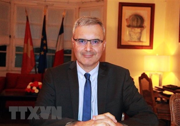 Vietnam - France relations growing in different spheres: Ambassador hinh anh 1