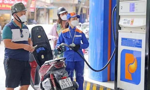 Petrol prices see highest decrease since 2022’s beginning hinh anh 1