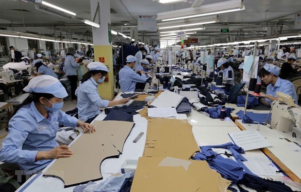 Labour market sees sign of strong recovery hinh anh 1