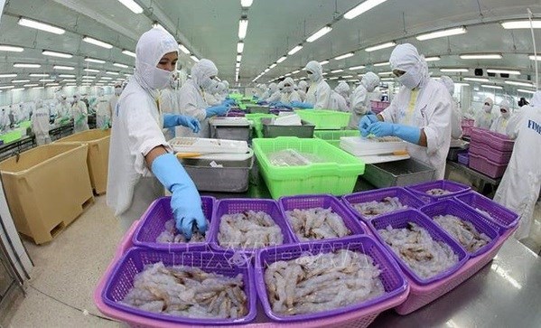 CPTPP prompts Vietnam’s aquatic exports to Japan hinh anh 1