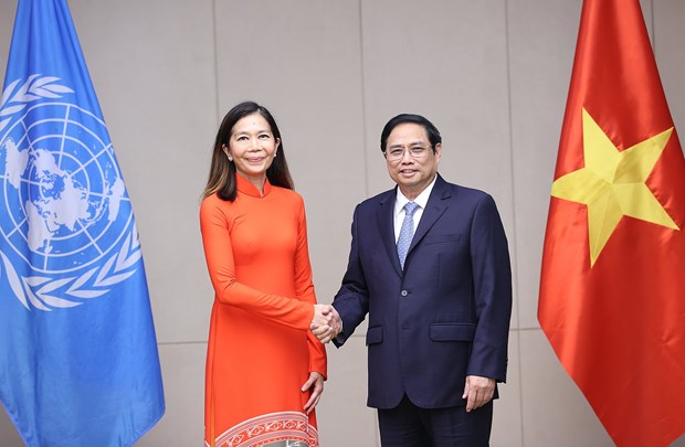 Prime Minister receives newly-appointed UN Resident Coordinator in Vietnam hinh anh 1