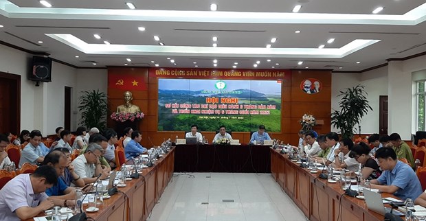 Vietnam’s forestry export value forecast to reach 16.3 billion USD in 2022 hinh anh 2