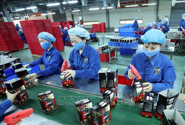 Number of new enterprises in Ca Mau surges hinh anh 1