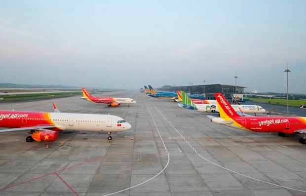 Aviation authority considers flight ban on aviation regulation violators hinh anh 1