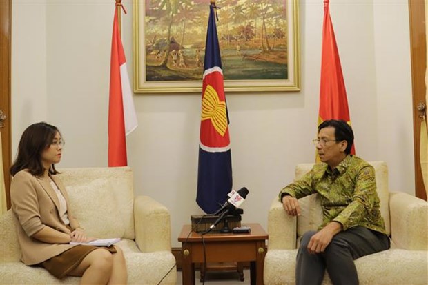 Vietnam, Indonesia to promote strategic partnership to new height: Ambassador hinh anh 1