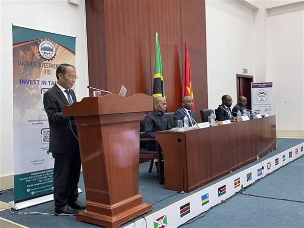 Tanzania capable of meeting Vietnam's needs in many fields: diplomat hinh anh 1