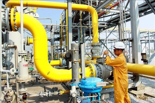 PV GAS D targets status of leading natural gas distributor hinh anh 2