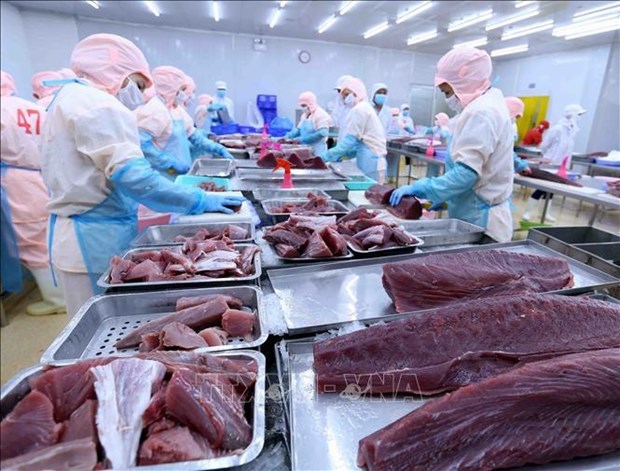 Tuna export expected to hit over 1 billion USD in 2022 hinh anh 1