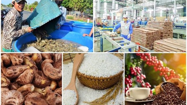 Nine agricultural items surpass 1-billion-USD mark in export turnover hinh anh 1