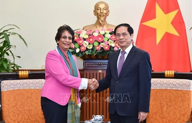 UN official impressed by Vietnam’s climate commitments hinh anh 1