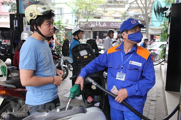 Petrol prices down in latest adjustment hinh anh 1