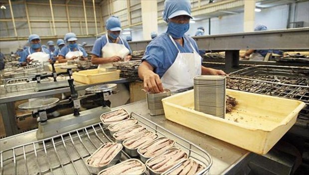 Vietnam’s tuna exports to France up 203% in 7 months hinh anh 1