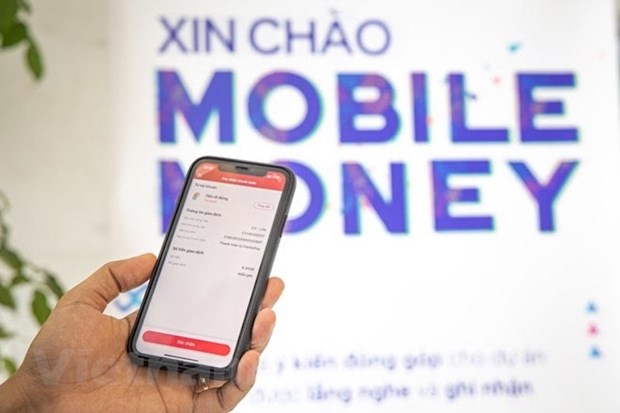 Mobile Money subscribers quadruple in six months hinh anh 2