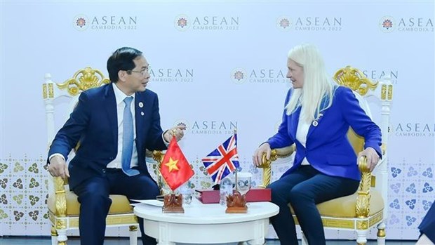 Foreign Minister holds bilateral meetings on AMM-55 sidelines hinh anh 2