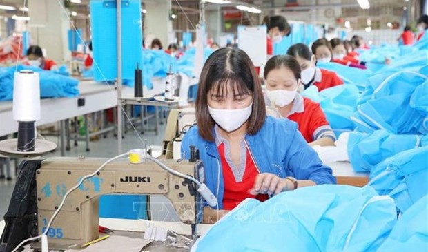 Garment-textile exports set to hit 45.7 billion USD this year hinh anh 1