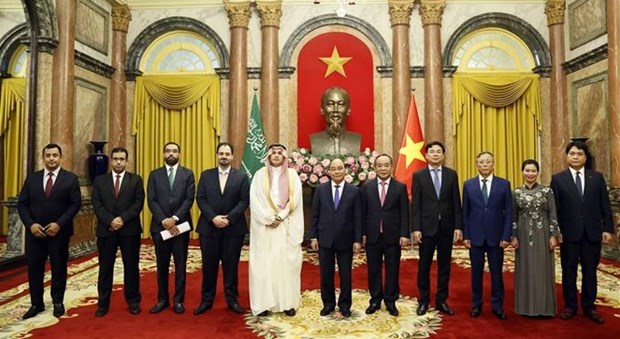 President receives new ambassadors of South Africa, Saudi Arabia, Belgium hinh anh 2