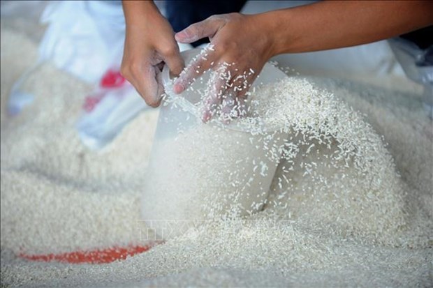Vietnam’s rice exports jump 20% in seven months hinh anh 1