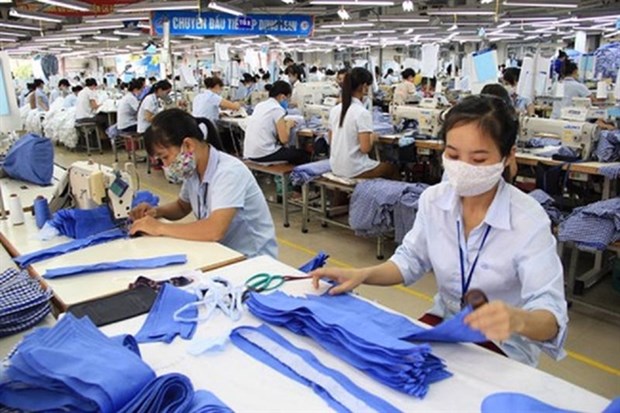 Textile firms see mixed performance in Q2 hinh anh 1