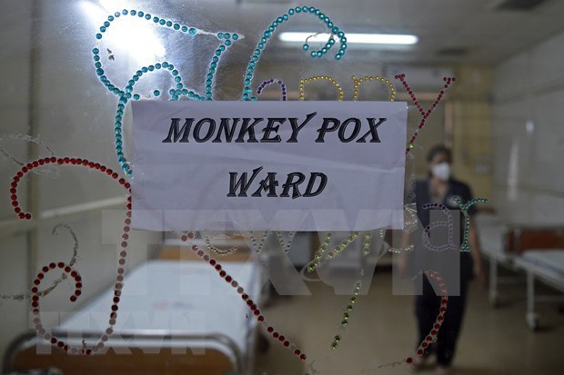 Indian scientists helps build capacity for Vietnam on monkeypox control hinh anh 1
