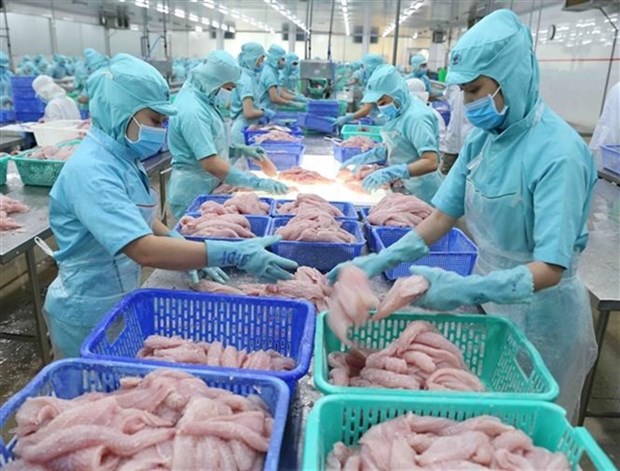 COVID quarantine for imported processed seafood to be removed hinh anh 1