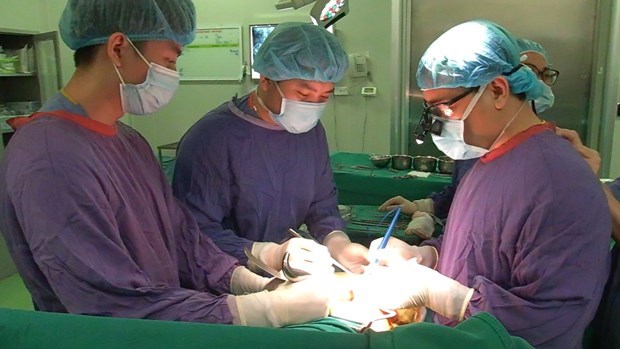 About 6,500 organ transplants conducted nationwide in 30 years hinh anh 1