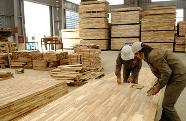 US extends duty evasion investigation into plywood from Vietnam hinh anh 1