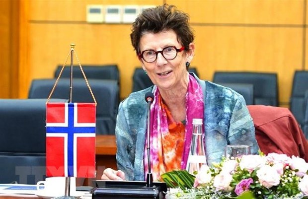 Norwegian Ambassador honoured with environmental award hinh anh 1