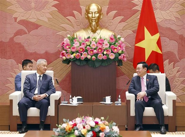 Vietnamese legislature ready to share experience with Laos: top legislator hinh anh 1