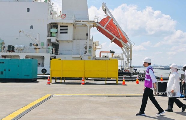 Indonesia puts largest terminal on Kalimantan island into operation hinh anh 1