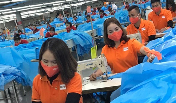 Nation's largest firms the driving force for economic growth hinh anh 1