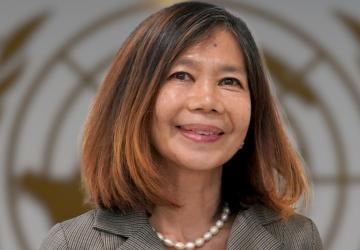 UN ready to support Vietnam in responding to new challenges: Coordinator hinh anh 1